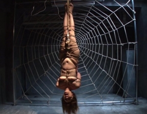 Thumbnail of post image 027